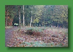 Bos- en Natuurloop 026